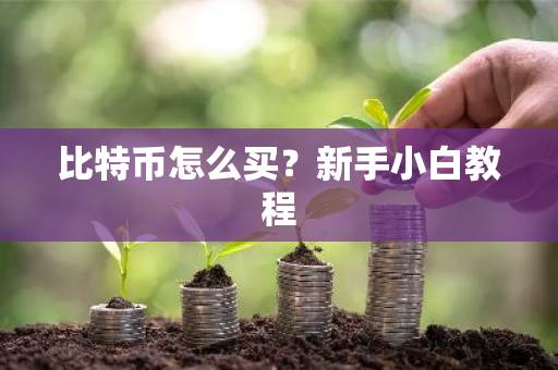 比特币怎么买?新手小白教程-第1张图片-ZBLOG 比特币怎么买?新手小白教程-第1张图片-ZBLOG