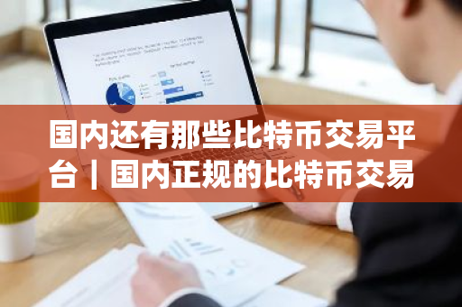 国内还有那些比特币交易平台|国内正规的比特币交易app-第1张图片-ZBLOG 国内还有那些比特币交易平台|国内正规的比特币交易app-第1张图片-ZBLOG