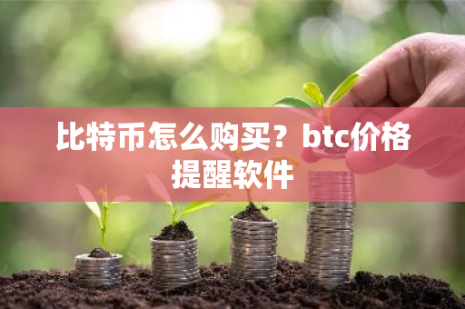 比特币怎么购买？btc价格提醒软件