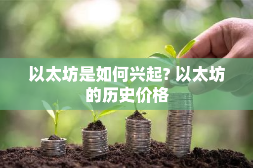 以太坊是如何兴起? 以太坊的历史价格-第1张图片-ZBLOG 以太坊是如何兴起? 以太坊的历史价格-第1张图片-ZBLOG