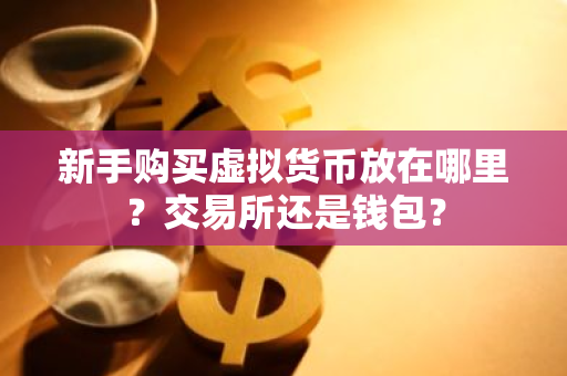 新手购买虚拟货币放在哪里？交易所还是钱包？