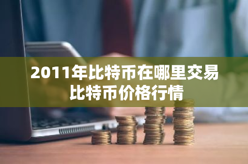 2011年比特币在哪里交易 比特币价格行情