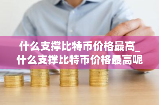 什么支撑比特币价格最高_什么支撑比特币价格最高呢
