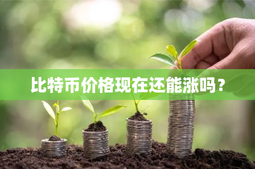 比特币价格现在还能涨吗?-第1张图片-ZBLOG 比特币价格现在还能涨吗?-第1张图片-ZBLOG