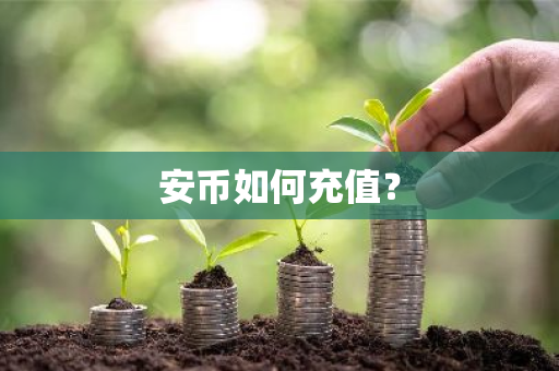 安币如何充值?-第1张图片-ZBLOG 安币如何充值?-第1张图片-ZBLOG