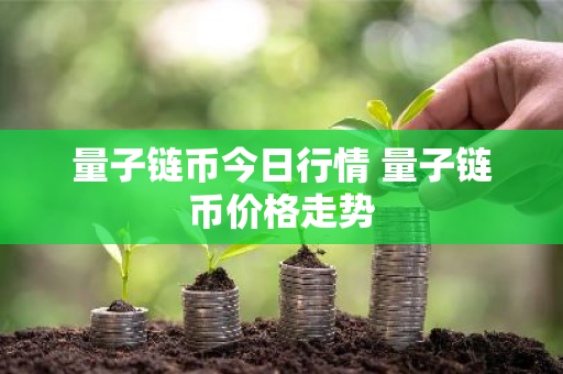 量子链币今日行情 量子链币价格走势-第1张图片-ZBLOG 量子链币今日行情 量子链币价格走势-第1张图片-ZBLOG