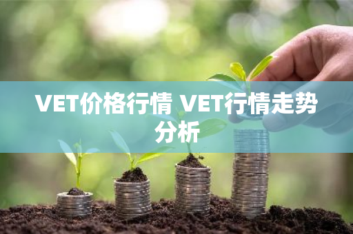 VET价格行情 VET行情走势分析-第1张图片-ZBLOG VET价格行情 VET行情走势分析-第1张图片-ZBLOG