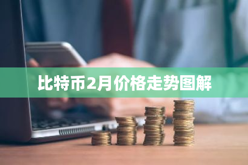 比特币2月价格走势图解-第1张图片-ZBLOG 比特币2月价格走势图解-第1张图片-ZBLOG