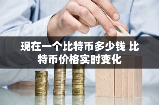 现在一个比特币多少钱 比特币价格实时变化-第1张图片-ZBLOG 现在一个比特币多少钱 比特币价格实时变化-第1张图片-ZBLOG