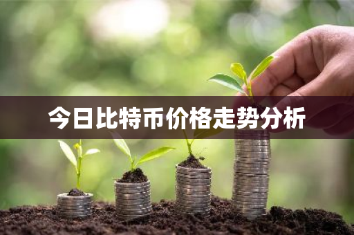 今日比特币价格走势分析-第1张图片-ZBLOG 今日比特币价格走势分析-第1张图片-ZBLOG