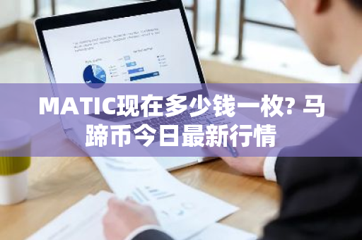 MATIC现在多少钱一枚? 马蹄币今日最新行情-第1张图片-ZBLOG