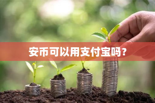安币可以用支付宝吗？-第1张图片-ZBLOG