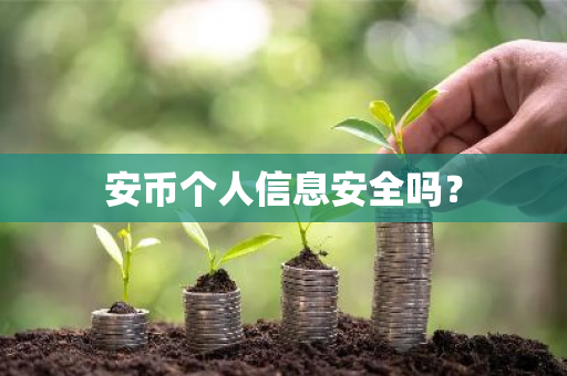安币个人信息安全吗？