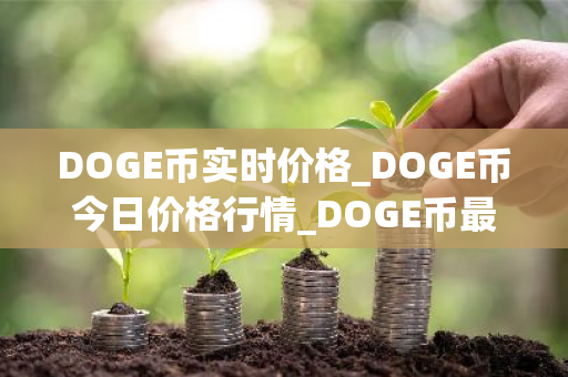 DOGE币实时价格_DOGE币今日价格行情_DOGE币最新消息