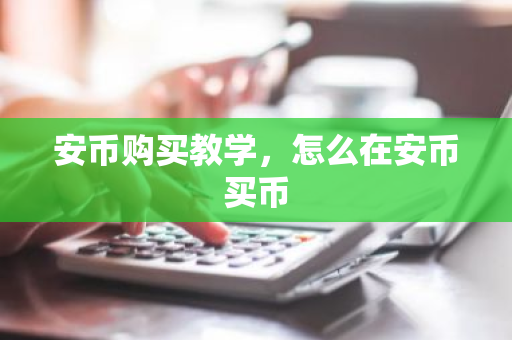 安币购买教学，怎么在安币买币