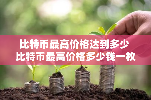 比特币最高价格达到多少 比特币最高价格多少钱一枚