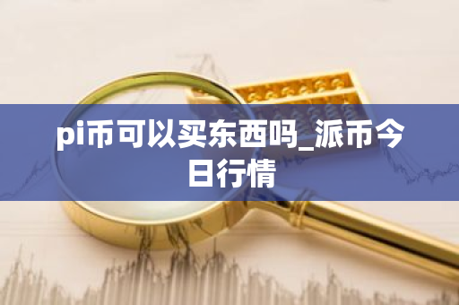 pi币可以买东西吗_派币今日行情