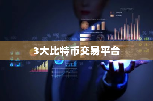 3大比特币交易平台