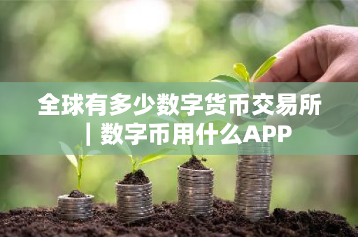 全球有多少数字货币交易所|数字币用什么APP-第1张图片-ZBLOG 全球有多少数字货币交易所|数字币用什么APP-第1张图片-ZBLOG