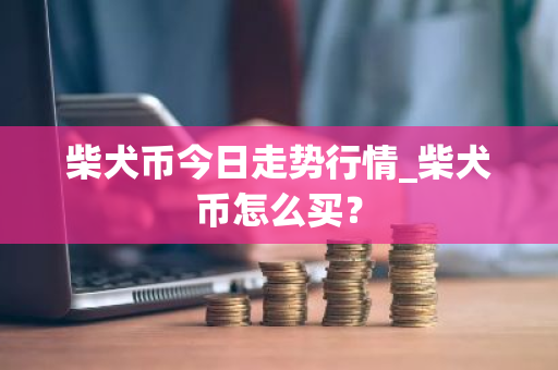 柴犬币今日走势行情_柴犬币怎么买？-第1张图片-ZBLOG