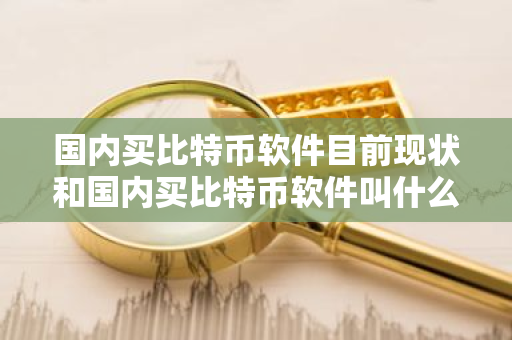 国内买比特币软件目前现状和国内买比特币软件叫什么详细介绍