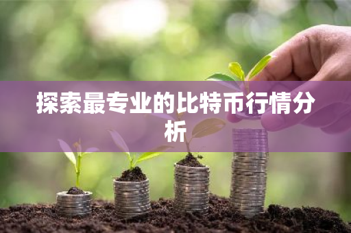 探索最专业的比特币行情分析