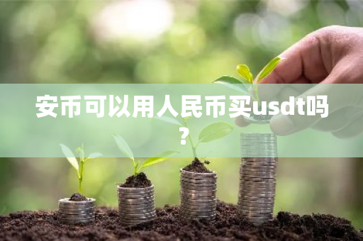 安币可以用人民币买usdt吗？