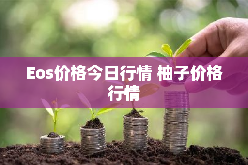 Eos价格今日行情 柚子价格行情-第1张图片-ZBLOG Eos价格今日行情 柚子价格行情-第1张图片-ZBLOG