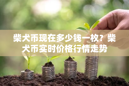 柴犬币现在多少钱一枚？柴犬币实时价格行情走势