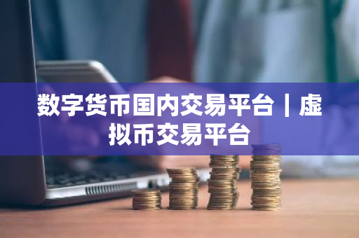 数字货币国内交易平台｜虚拟币交易平台-第1张图片-ZBLOG