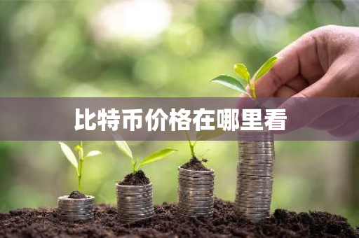 比特币价格在哪里看