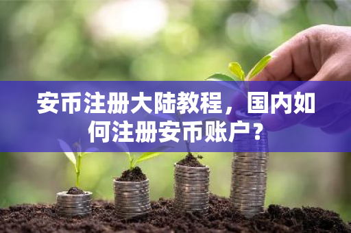 安币注册大陆教程，国内如何注册安币账户？