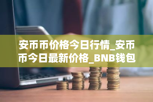 安币币价格今日行情_安币币今日最新价格_BNB钱包