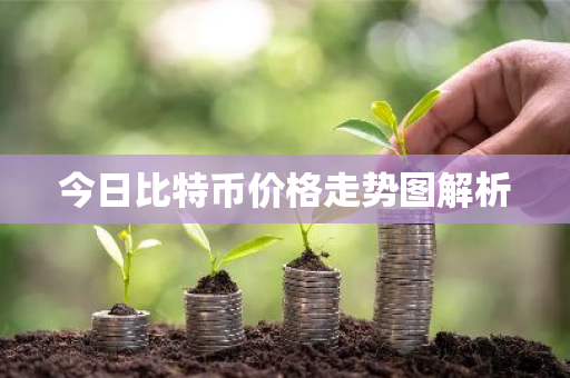 今日比特币价格走势图解析-第1张图片-ZBLOG