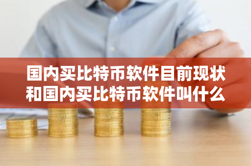 国内买比特币软件目前现状和国内买比特币软件叫什么详细介绍