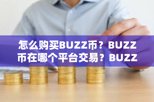 怎么购买BUZZ币？BUZZ币在哪个平台交易？BUZZ币购买交易教程