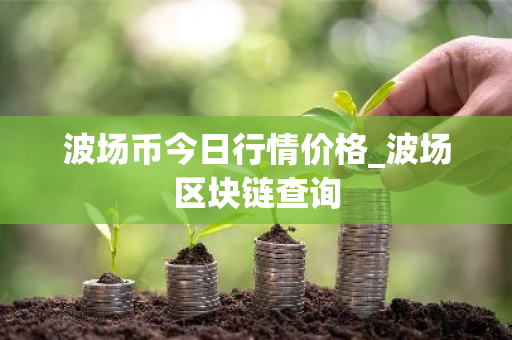 波场币今日行情价格_波场区块链查询-第1张图片-ZBLOG