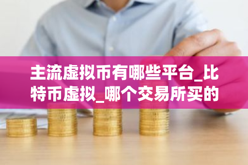 主流虚拟币有哪些平台_比特币虚拟_哪个交易所买的币可以当天转