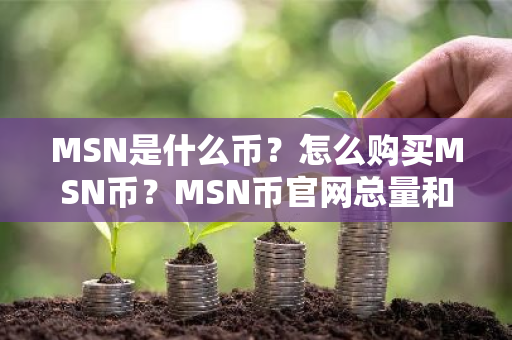 MSN是什么币？怎么购买MSN币？MSN币官网总量和币种概念介绍