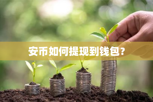 安币如何提现到钱包?-第1张图片-ZBLOG 安币如何提现到钱包?-第1张图片-ZBLOG