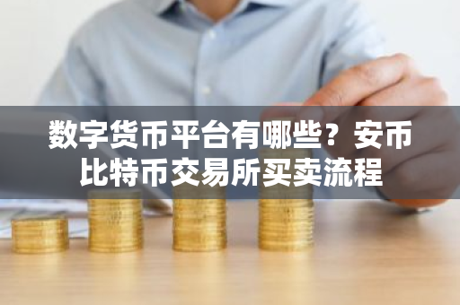 数字货币平台有哪些?安币比特币交易所买卖流程-第1张图片-ZBLOG 数字货币平台有哪些?安币比特币交易所买卖流程-第1张图片-ZBLOG