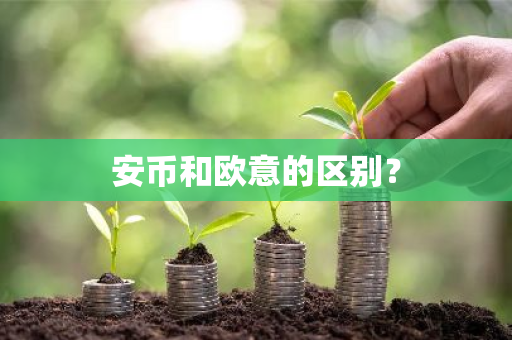 安币和欧意的区别？-第1张图片-ZBLOG