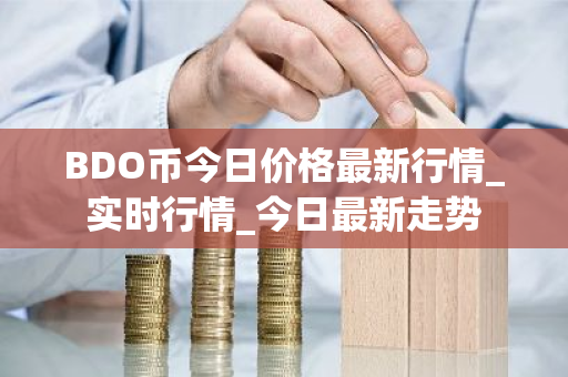 BDO币今日价格最新行情_实时行情_今日最新走势