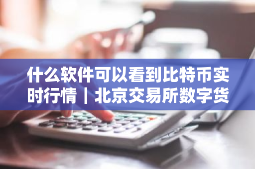 什么软件可以看到比特币实时行情|北京交易所数字货币交易中心-第1张图片-ZBLOG 什么软件可以看到比特币实时行情|北京交易所数字货币交易中心-第1张图片-ZBLOG