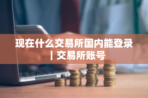 现在什么交易所国内能登录｜交易所账号-第1张图片-ZBLOG