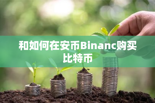 和如何在安币Binanc购买比特币-第1张图片-ZBLOG 和如何在安币Binanc购买比特币-第1张图片-ZBLOG