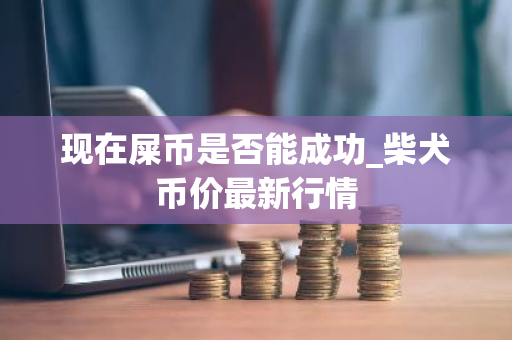 现在屎币是否能成功_柴犬币价最新行情