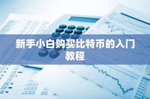 新手小白购买比特币的入门教程-第1张图片-ZBLOG 新手小白购买比特币的入门教程-第1张图片-ZBLOG