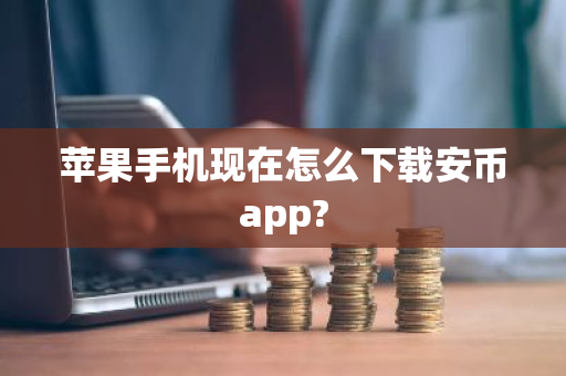 苹果手机现在怎么下载安币app?
