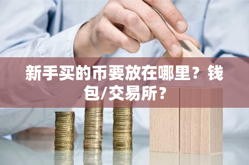 新手买的币要放在哪里？钱包/交易所？